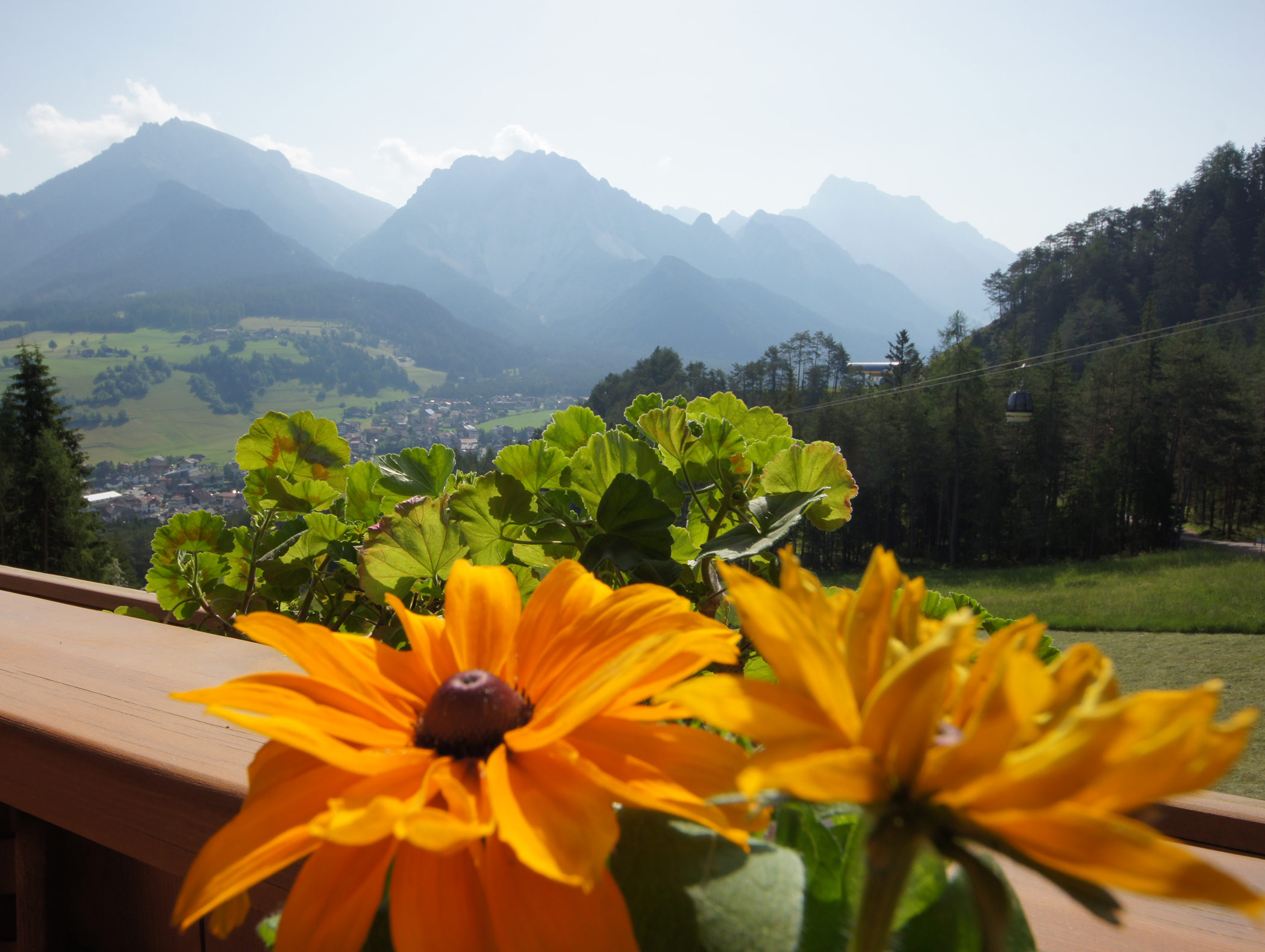 Detailaufnahme Balkon mit Blumen im Sommer - Ciasa Pedagà